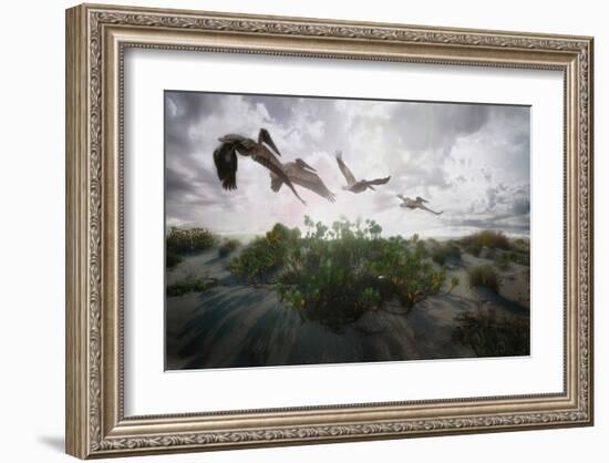 Sunset Pelicans-Steve Hunziker-Framed Art Print