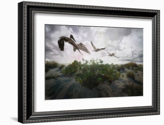 Sunset Pelicans-Steve Hunziker-Framed Art Print
