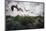 Sunset Pelicans-Steve Hunziker-Mounted Art Print