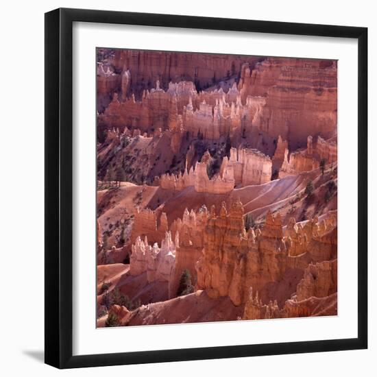 Sunset Point, Bryce Canyon, Utah, USA-Paul C. Pet-Framed Photographic Print