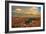 Sunset Point View, Bryce Canyon National Park, Utah, Wasatch Limestone Pinnacles-Tom Till-Framed Photographic Print