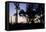 Sunset Promenade II-Rita Crane-Framed Premier Image Canvas