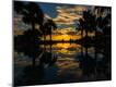 Premium Photographic Print