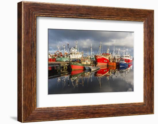 Sunset Reflected on the Commercial Fishing Fleet at Killybegs-Michael Nolan-Framed Photographic Print