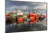 Sunset Reflected on the Commercial Fishing Fleet at Killybegs-Michael Nolan-Mounted Photographic Print