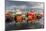 Sunset Reflected on the Commercial Fishing Fleet at Killybegs-Michael Nolan-Mounted Photographic Print