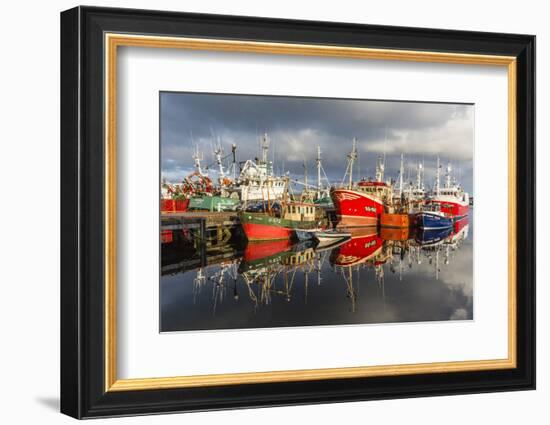 Sunset Reflected on the Commercial Fishing Fleet at Killybegs-Michael Nolan-Framed Photographic Print