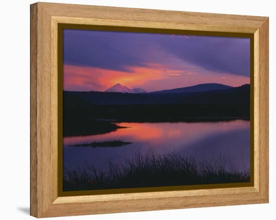 Sunset Reflecting in Upper Klamath Lake with Mt. Shasta, Upper Klamath National Wildlife Refuge-Steve Terrill-Framed Premier Image Canvas