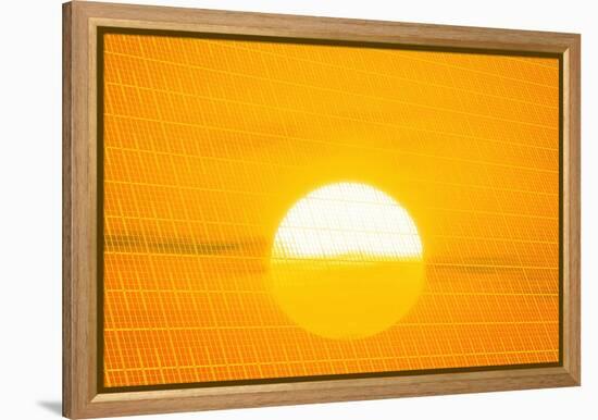 Sunset Reflection on Solar Panel, Artwork-Detlev Van Ravenswaay-Framed Premier Image Canvas