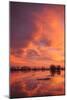 Sunset Reflections at Merced Wildlife Refuge-Vincent James-Mounted Photographic Print