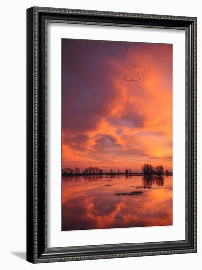 Sunset Reflections at Merced Wildlife Refuge-Vincent James-Framed Photographic Print