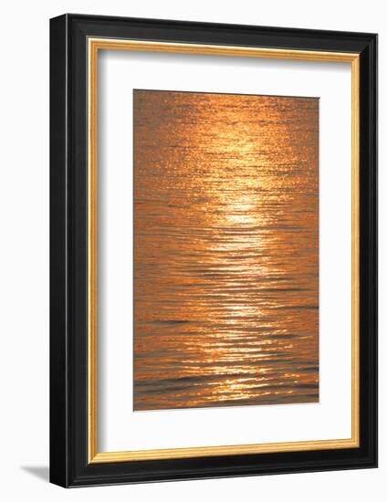 Sunset reflections on ripples of water.-Tom Haseltine-Framed Photographic Print