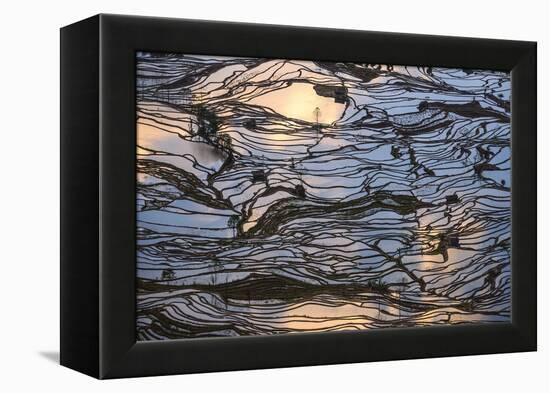 Sunset Reflections over Rice Fields in Yuanyang, China-John Crux-Framed Premier Image Canvas