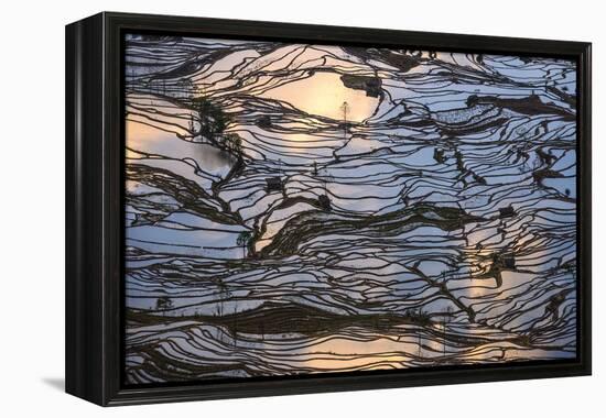 Sunset Reflections over Rice Fields in Yuanyang, China-John Crux-Framed Premier Image Canvas