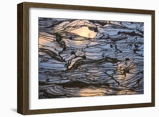 Sunset Reflections over Rice Fields in Yuanyang, China-John Crux-Framed Photographic Print