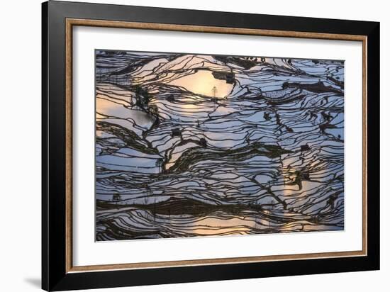 Sunset Reflections over Rice Fields in Yuanyang, China-John Crux-Framed Photographic Print