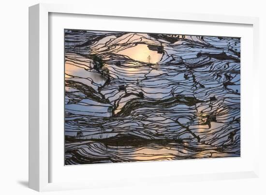 Sunset Reflections over Rice Fields in Yuanyang, China-John Crux-Framed Photographic Print