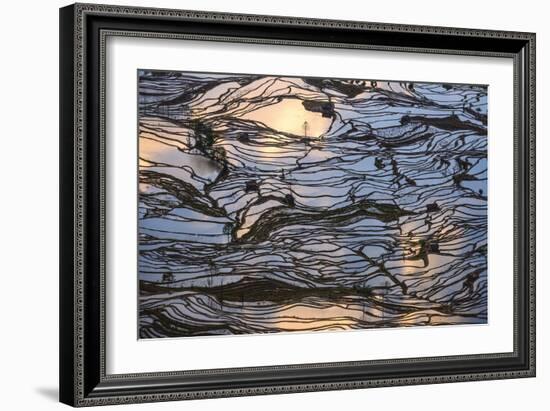 Sunset Reflections over Rice Fields in Yuanyang, China-John Crux-Framed Photographic Print