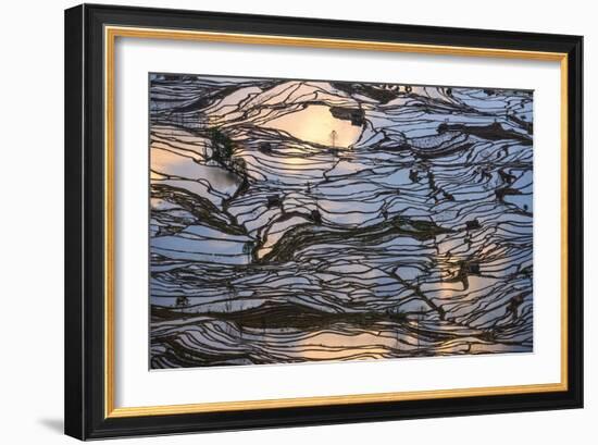 Sunset Reflections over Rice Fields in Yuanyang, China-John Crux-Framed Photographic Print