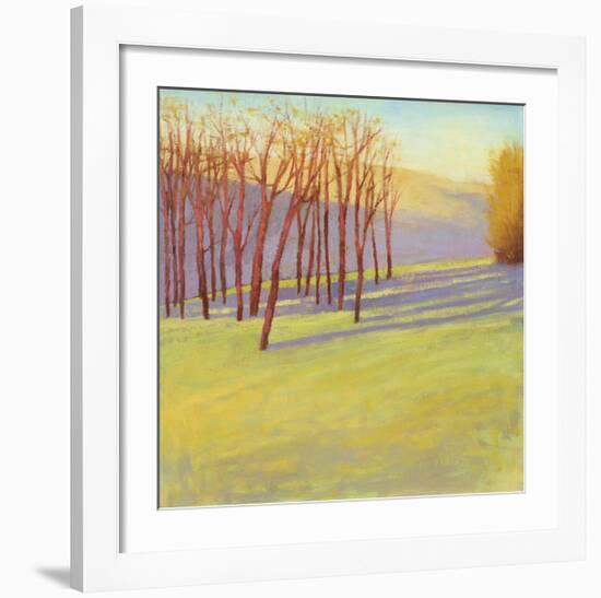 Sunset Reverie-David Skinner-Framed Giclee Print