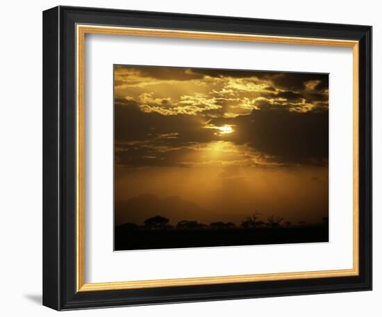 Sunset's Blanket-Art Wolfe-Framed Photographic Print