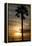 Sunset, Santa Monica Beach-Natalie Tepper-Framed Premier Image Canvas