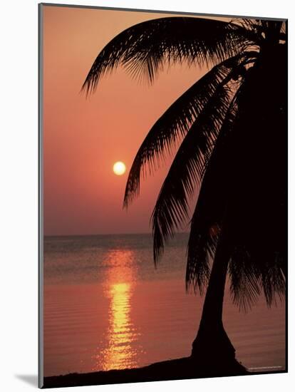 Sunset Seen from the Resort of West End on Roatan, Largest of the Bay Islands, Honduras, Caribbean-Robert Francis-Mounted Photographic Print