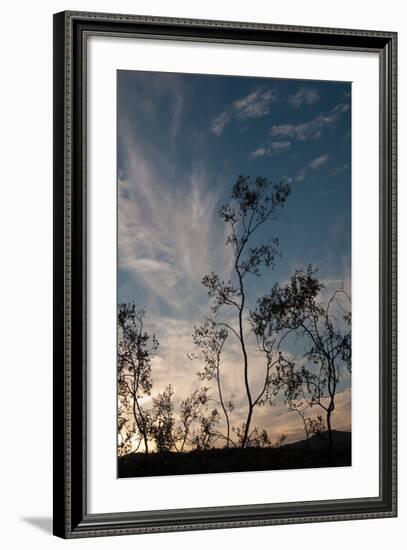 Sunset Silhouette III-Erin Berzel-Framed Photographic Print