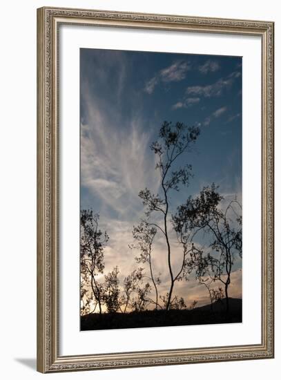 Sunset Silhouette III-Erin Berzel-Framed Photographic Print