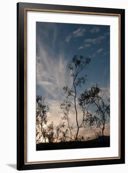 Sunset Silhouette III-Erin Berzel-Framed Photographic Print