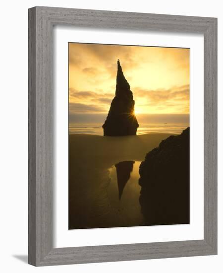 Sunset Silhouettes Seabird Atop Rock Pinnacle, Bandon Beach, Oregon, USA-Steve Terrill-Framed Photographic Print