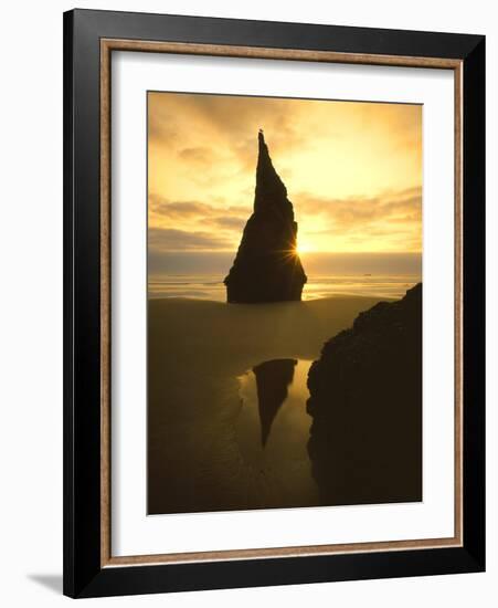 Sunset Silhouettes Seabird Atop Rock Pinnacle, Bandon Beach, Oregon, USA-Steve Terrill-Framed Photographic Print