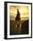 Sunset Silhouettes Seabird Atop Rock Pinnacle, Bandon Beach, Oregon, USA-Steve Terrill-Framed Photographic Print