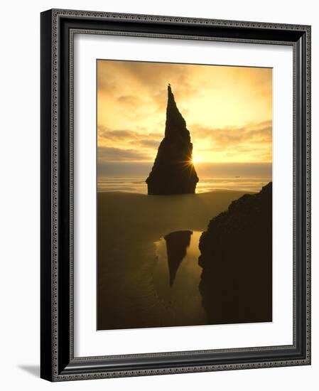 Sunset Silhouettes Seabird Atop Rock Pinnacle, Bandon Beach, Oregon, USA-Steve Terrill-Framed Photographic Print