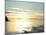 Sunset, Southeast Near Ketchikan, Alaska, Usa-Savanah Stewart-Mounted Photographic Print