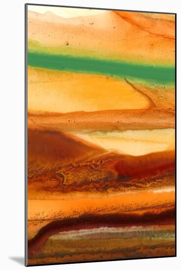 Sunset Splash D-Tracy Hiner-Mounted Giclee Print