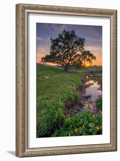 Sunset Steam at Table Mountain, Oroville California-Vincent James-Framed Photographic Print