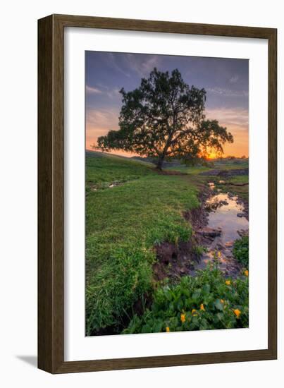 Sunset Steam at Table Mountain, Oroville California-Vincent James-Framed Photographic Print