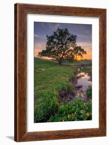 Sunset Steam at Table Mountain, Oroville California-Vincent James-Framed Photographic Print