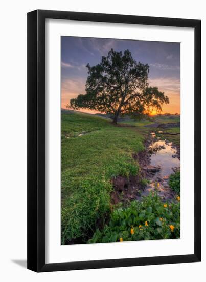 Sunset Steam at Table Mountain, Oroville California-Vincent James-Framed Photographic Print