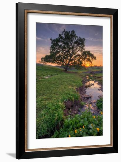 Sunset Steam at Table Mountain, Oroville California-Vincent James-Framed Photographic Print