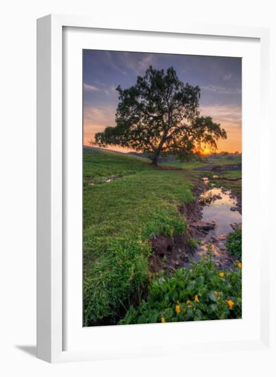 Sunset Steam at Table Mountain, Oroville California-Vincent James-Framed Photographic Print