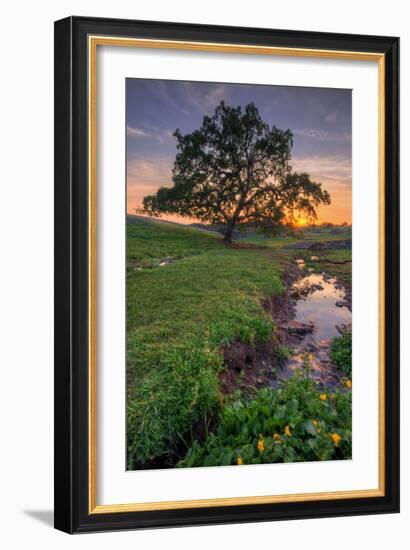 Sunset Steam at Table Mountain, Oroville California-Vincent James-Framed Photographic Print