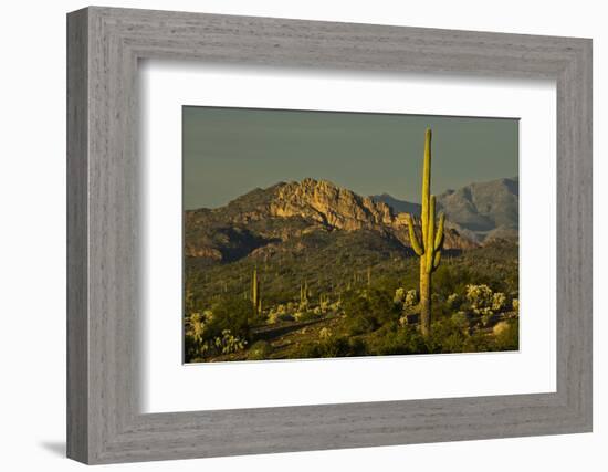 Sunset, Superstition Mts, Lost Dutchman SP, Apache Junction, Arizona-Michel Hersen-Framed Photographic Print
