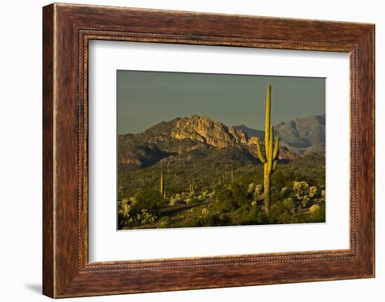 Sunset, Superstition Mts, Lost Dutchman SP, Apache Junction, Arizona-Michel Hersen-Framed Photographic Print