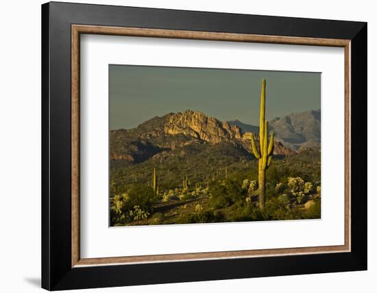 Sunset, Superstition Mts, Lost Dutchman SP, Apache Junction, Arizona-Michel Hersen-Framed Photographic Print