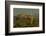 Sunset, Superstition Mts, Lost Dutchman SP, Apache Junction, Arizona-Michel Hersen-Framed Photographic Print