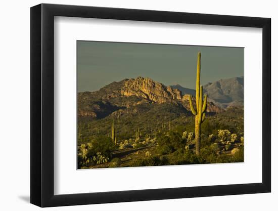 Sunset, Superstition Mts, Lost Dutchman SP, Apache Junction, Arizona-Michel Hersen-Framed Photographic Print