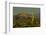 Sunset, Superstition Mts, Lost Dutchman SP, Apache Junction, Arizona-Michel Hersen-Framed Photographic Print