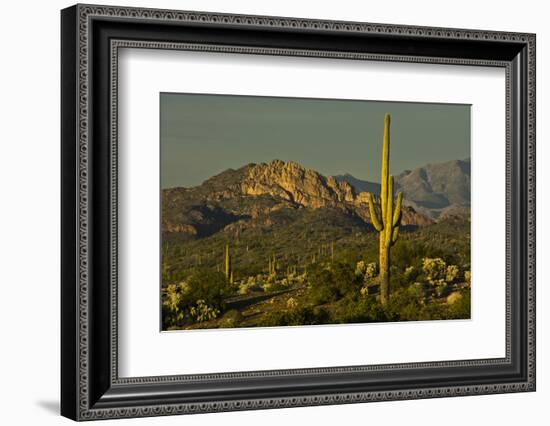 Sunset, Superstition Mts, Lost Dutchman SP, Apache Junction, Arizona-Michel Hersen-Framed Photographic Print